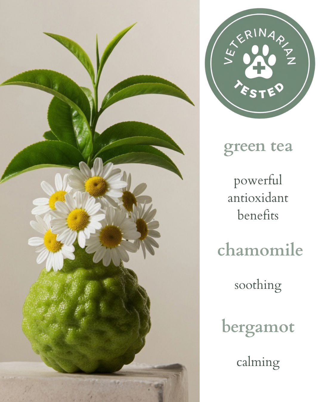 natural pet spray