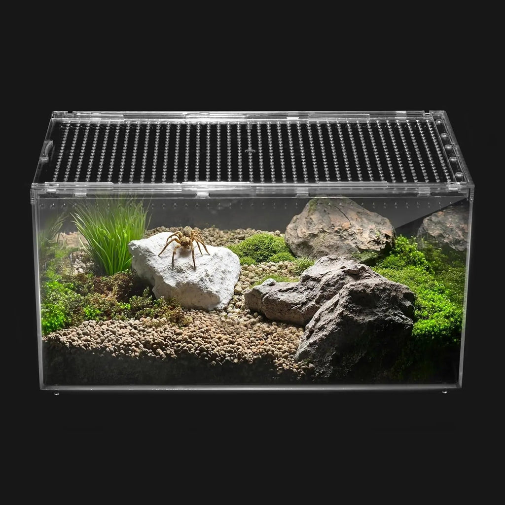 Reptile PC Terrarium Starter Kit Enclosure for Spiders, Geckos & Insects
