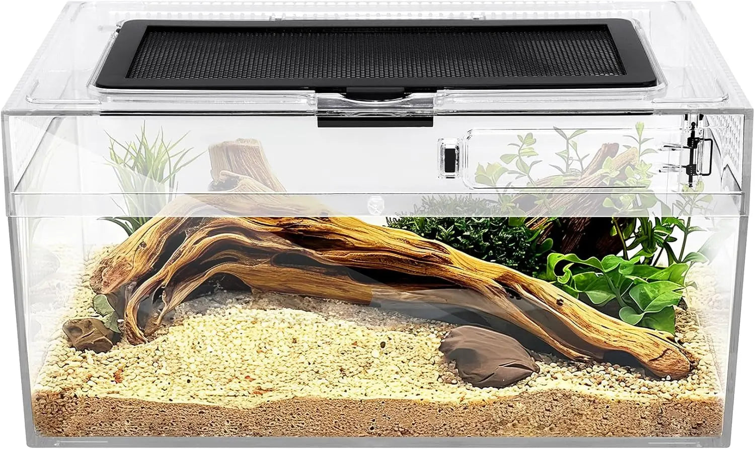 Reptile PC Terrarium Starter Kit Enclosure for Spiders, Geckos & Insects