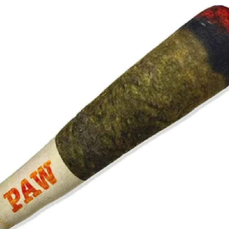 Plush Cigar Dog Toy