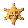 Baby 1st Rodeo