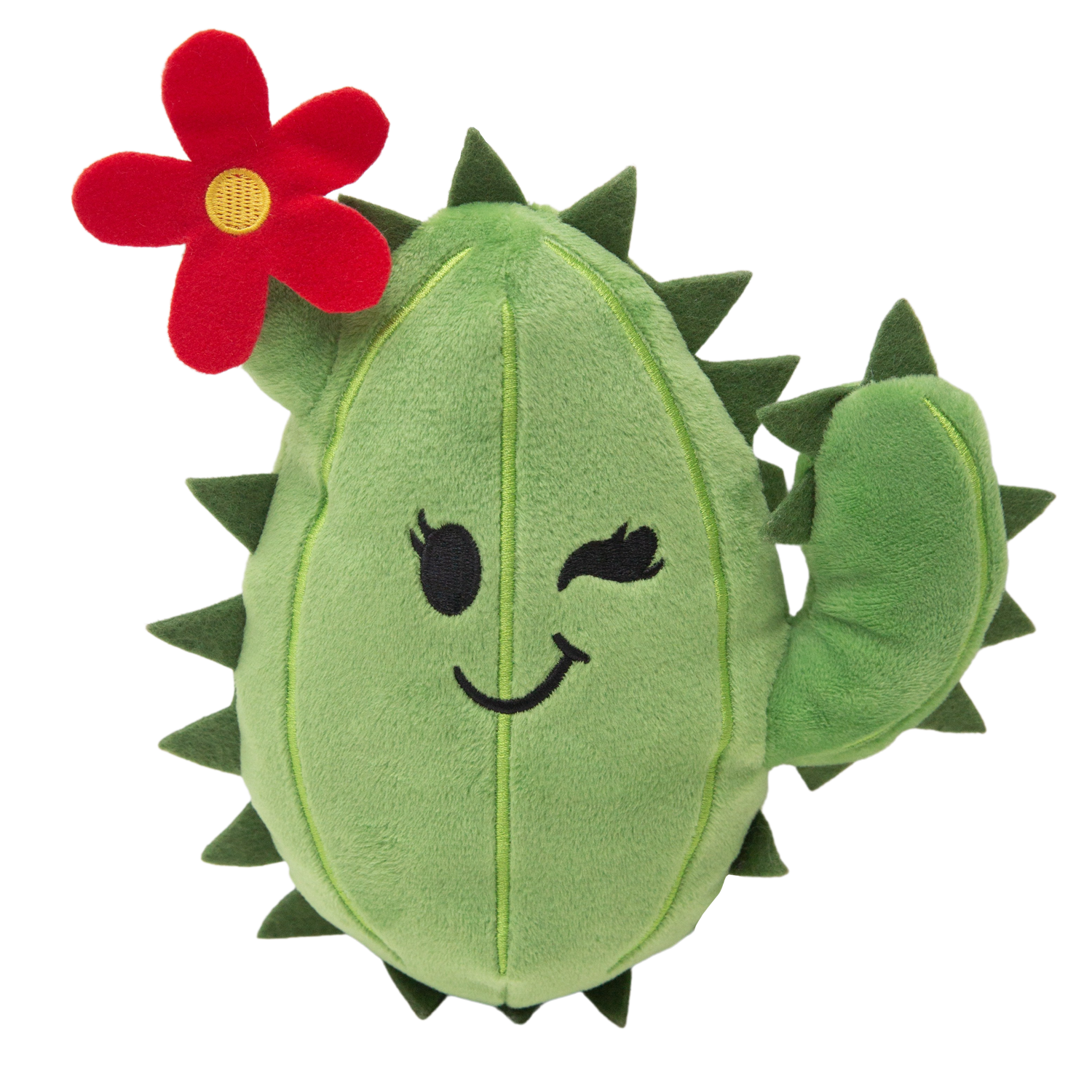 Chloe the Cactus