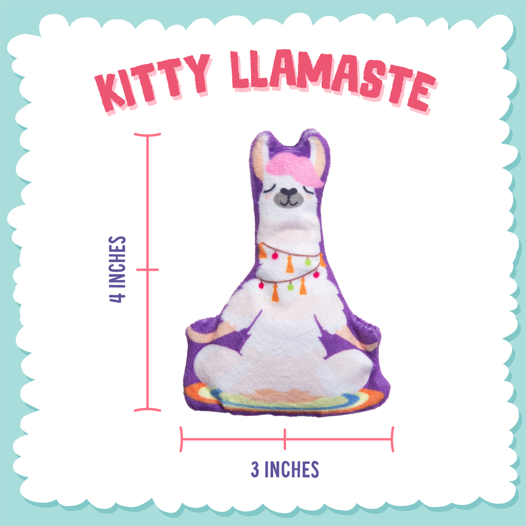 Kitty LLamaste with Catnip