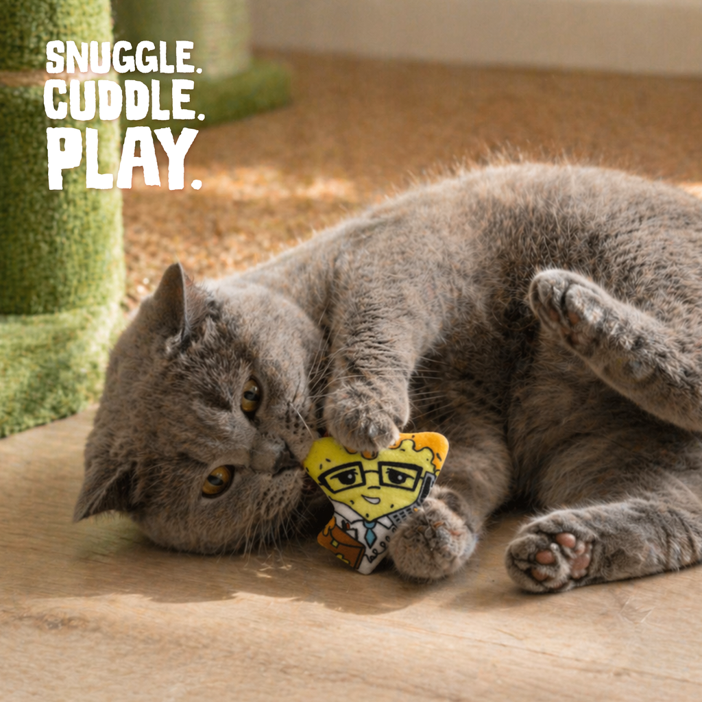 Nacho Man with Catnip