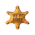 Kitty 1st Rodeo with Catnip