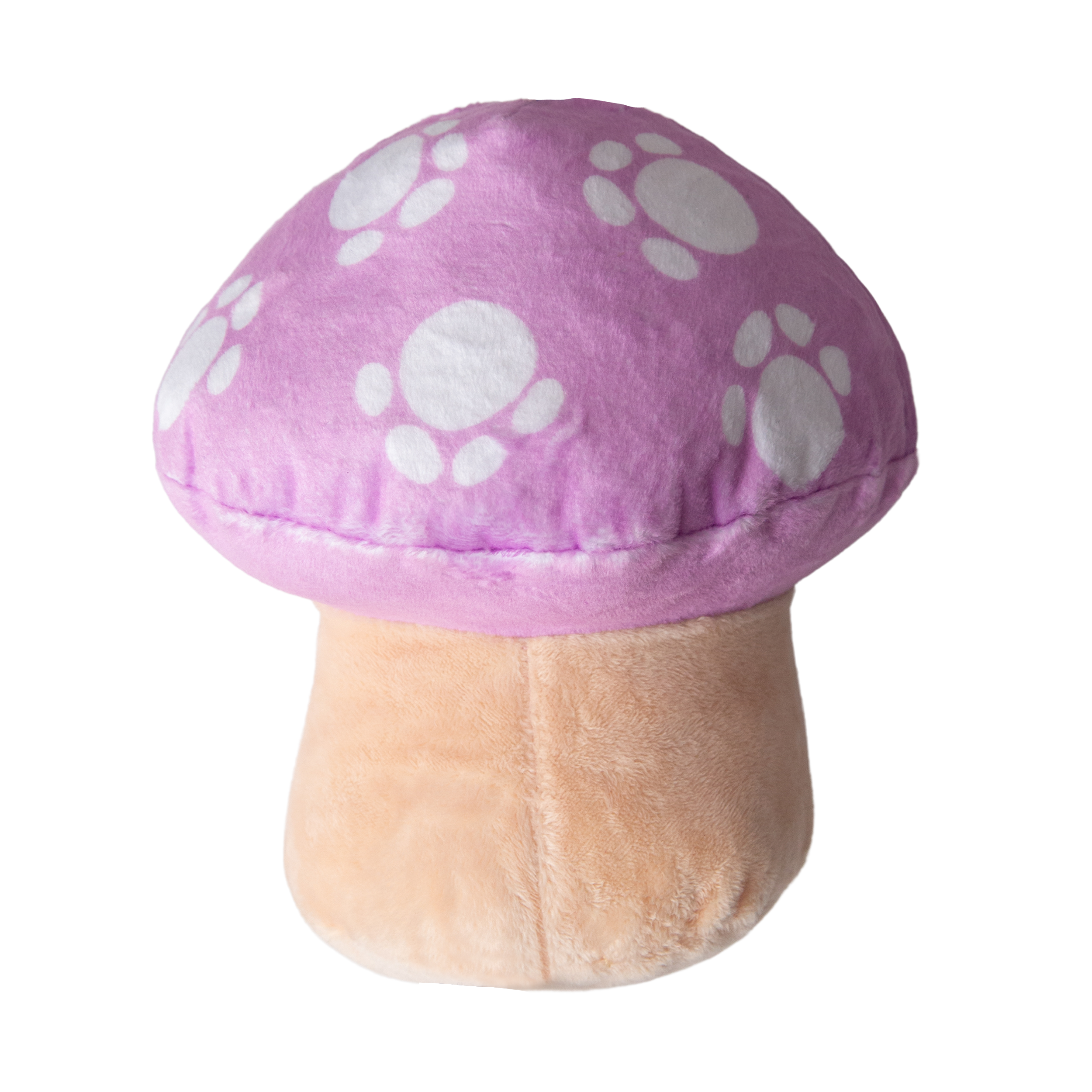 Magic the Mushroom