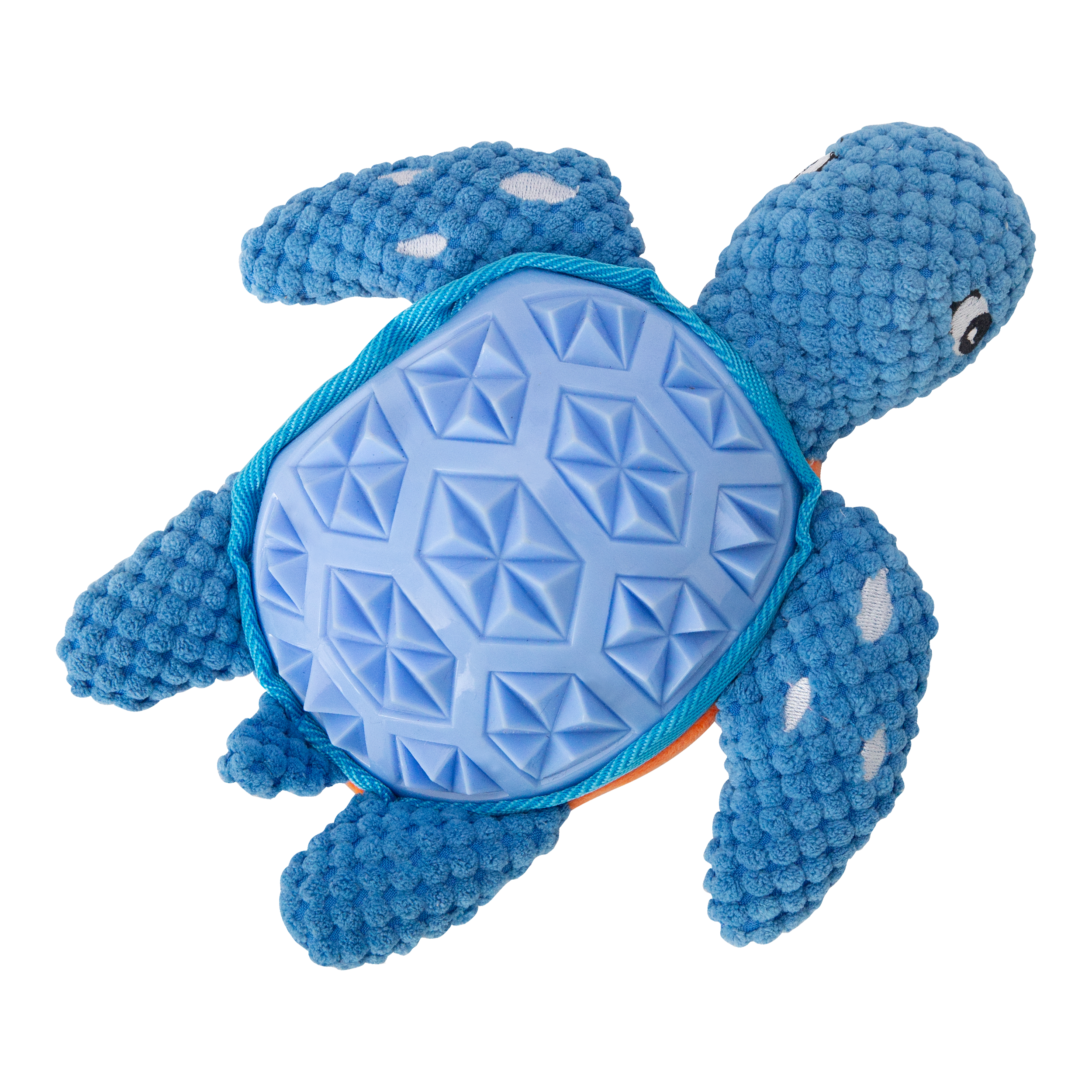 Titan the Turtle