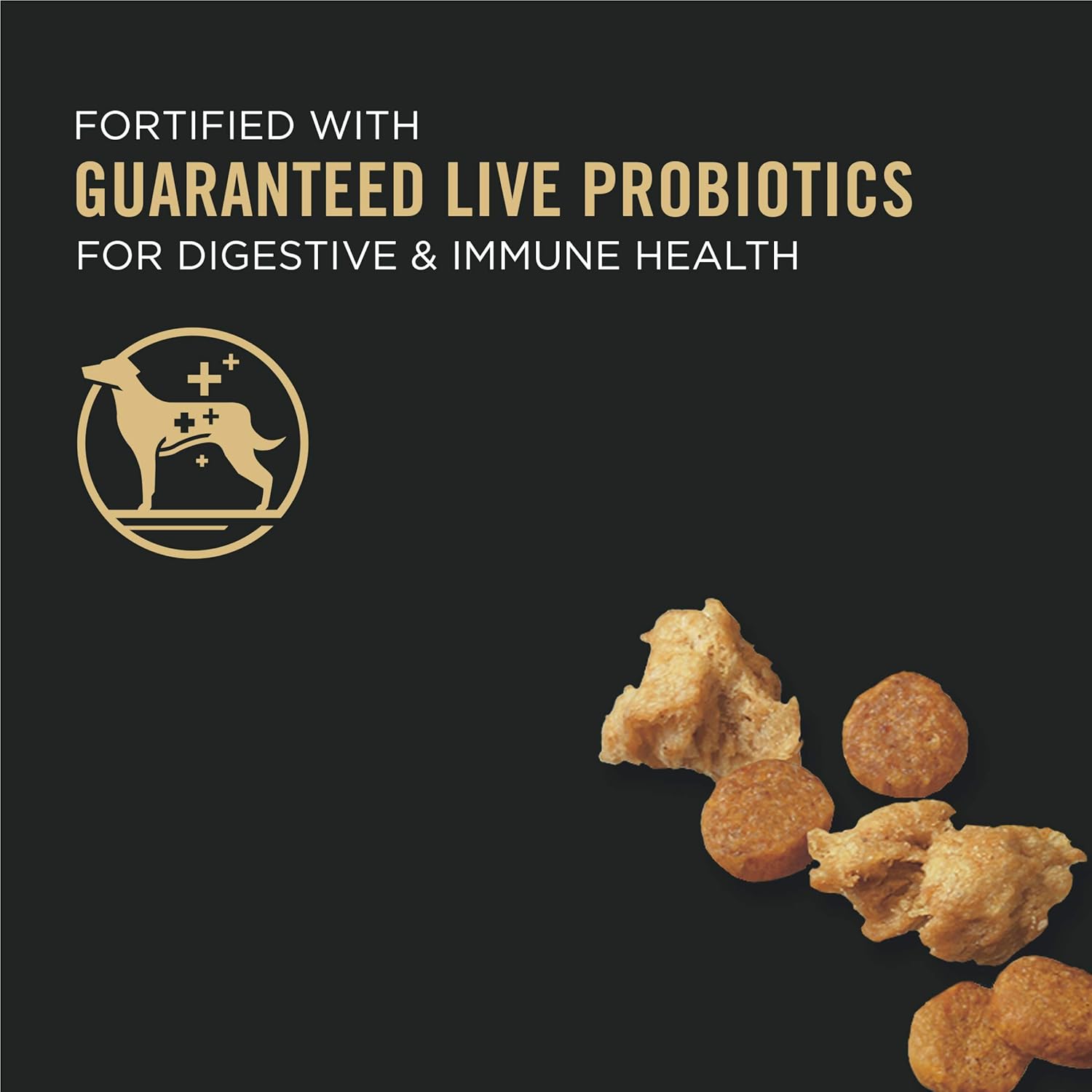 Pro Plan Puppy Shredded Blend Chicken & Rice Formula Dry Dog Food
