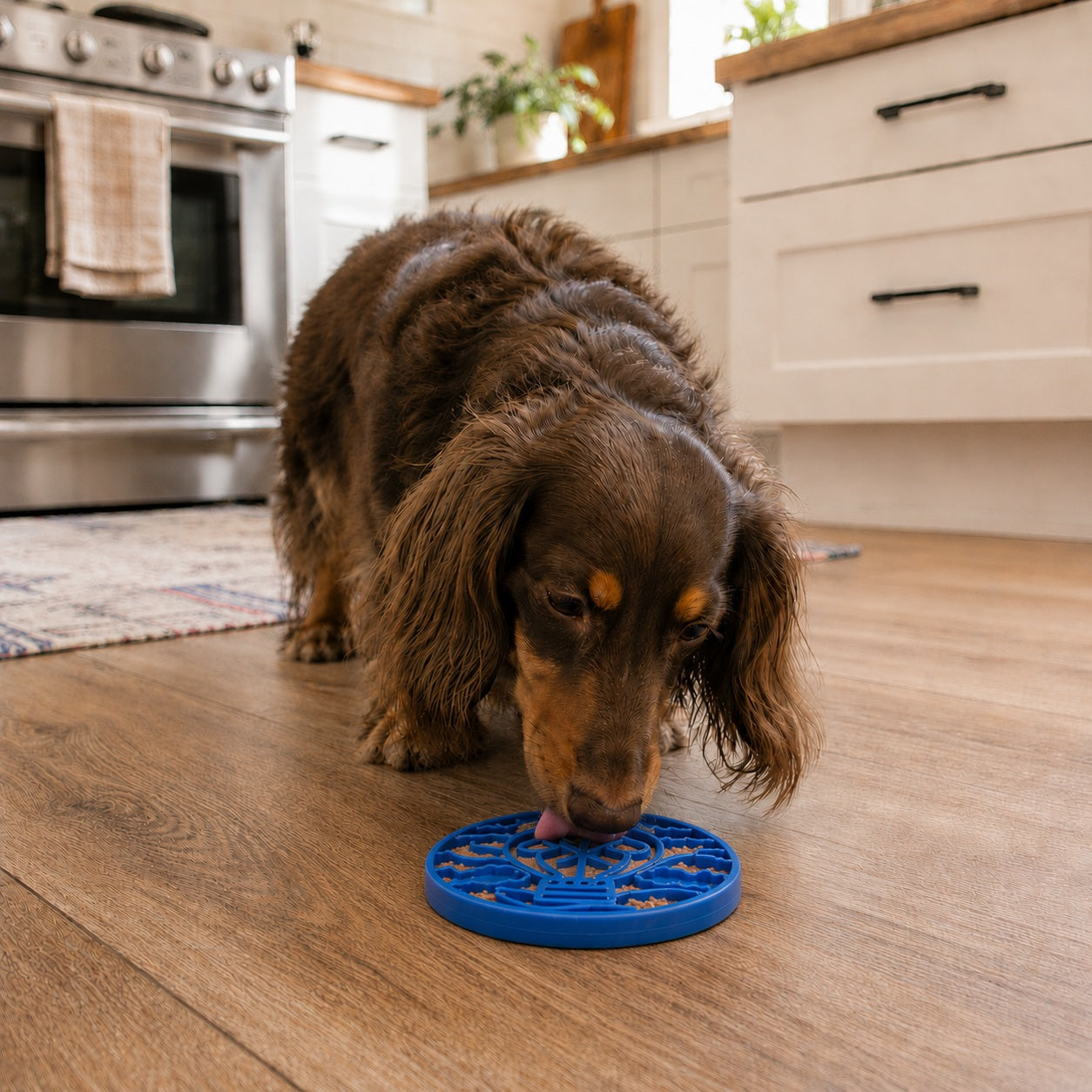 Air Nylon eCoin Lick Mat for Dogs - Durable Enrichment Toy | SodaPup