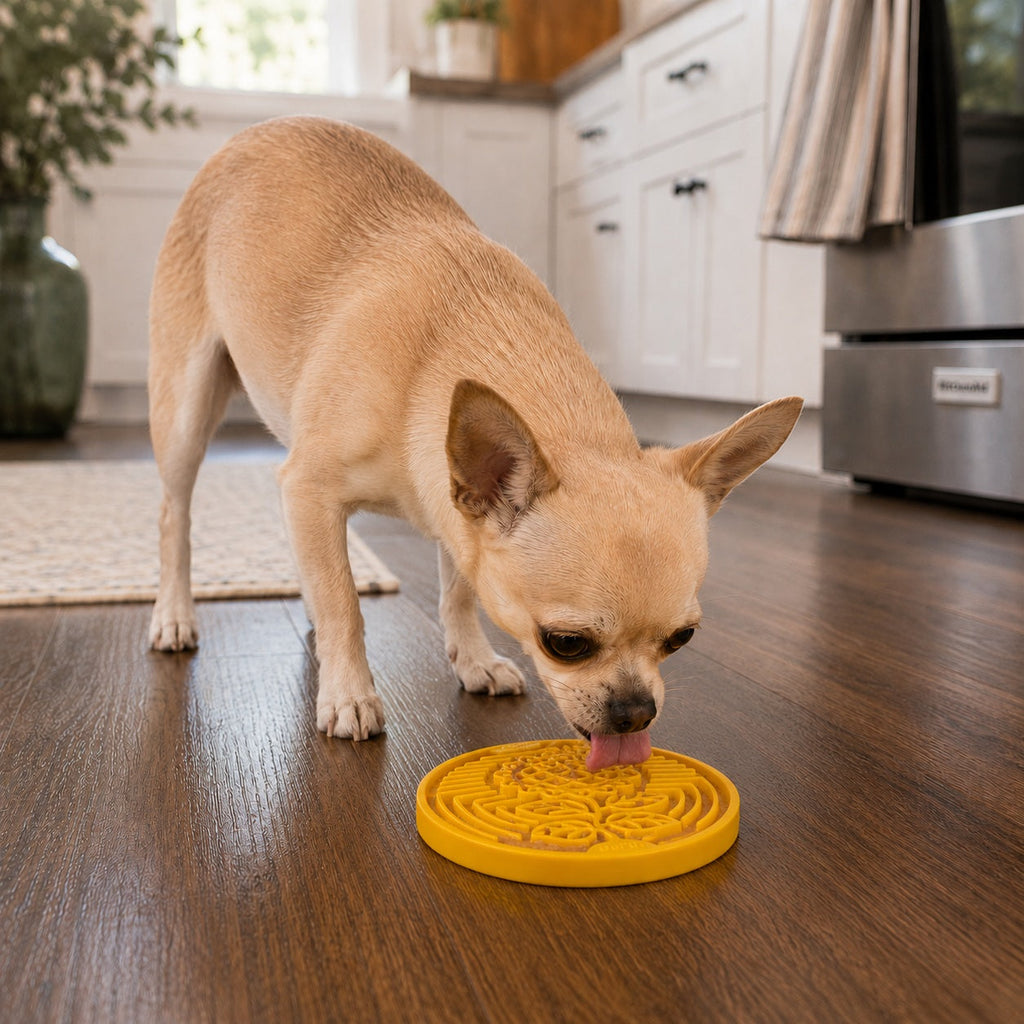 Earth eCoin Nylon Lick Mat for Dogs | USA Made Enrichment Toy | SodaPup