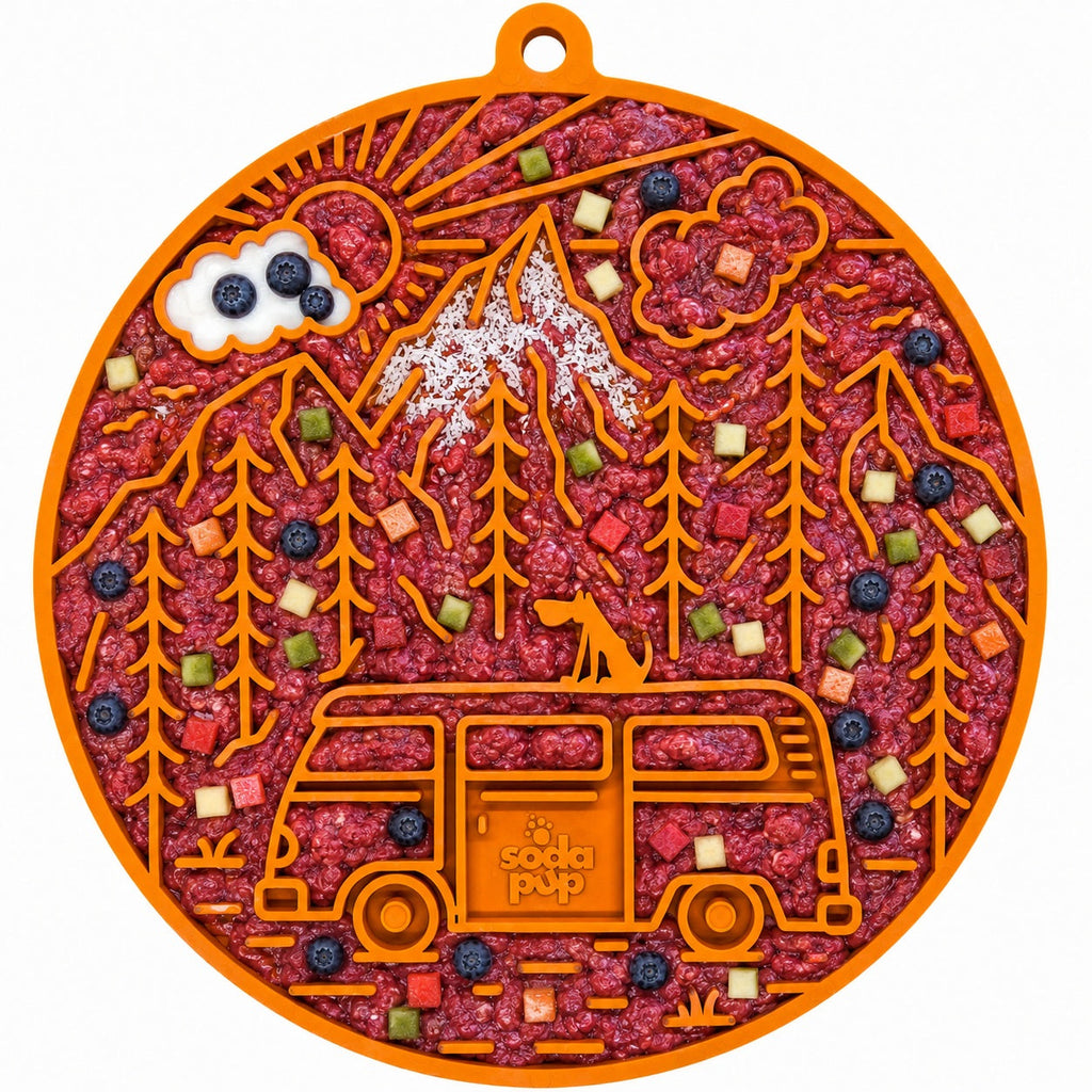 Camp eMat - Enrichment Lick Mat For Dogs and Cats - Silicone with Suction Cups | Retro Van Design | USA Made