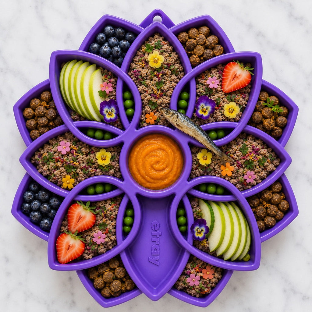 Mandala eTray Shallow Slow Feeder Dog Bowl for Enrichment | USA Made