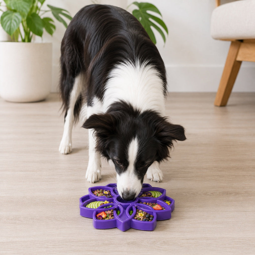 Mandala eTray Shallow Slow Feeder Dog Bowl for Enrichment | USA Made
