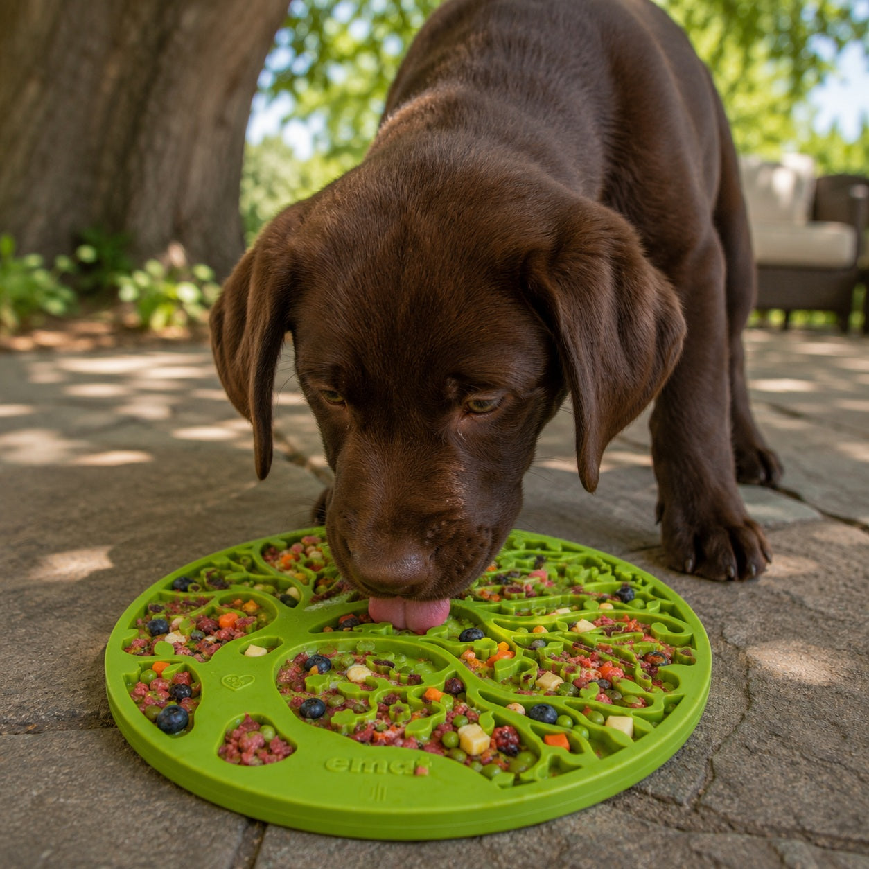 Tree of Life eMat - Enrichment Lick Mat For Dogs and Cats - With Suction Cups | Tree Design | USA Made