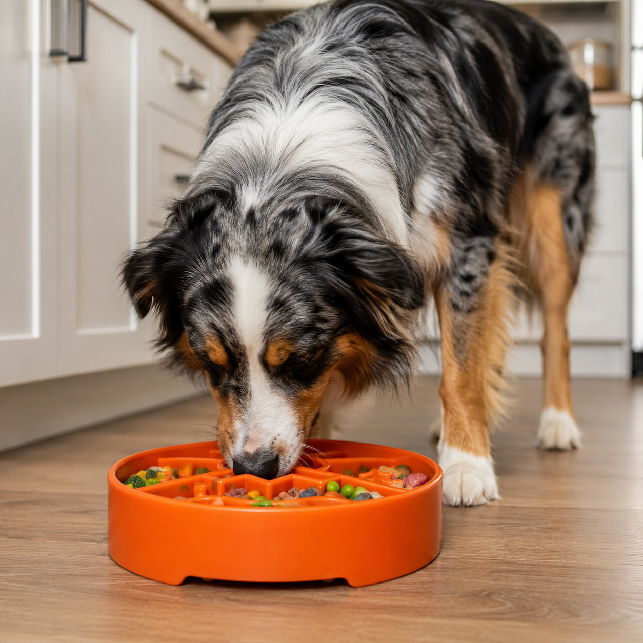 Great Outdoors eBowl - Slow Feeder Dog Bowl & Enrichment | USA Made