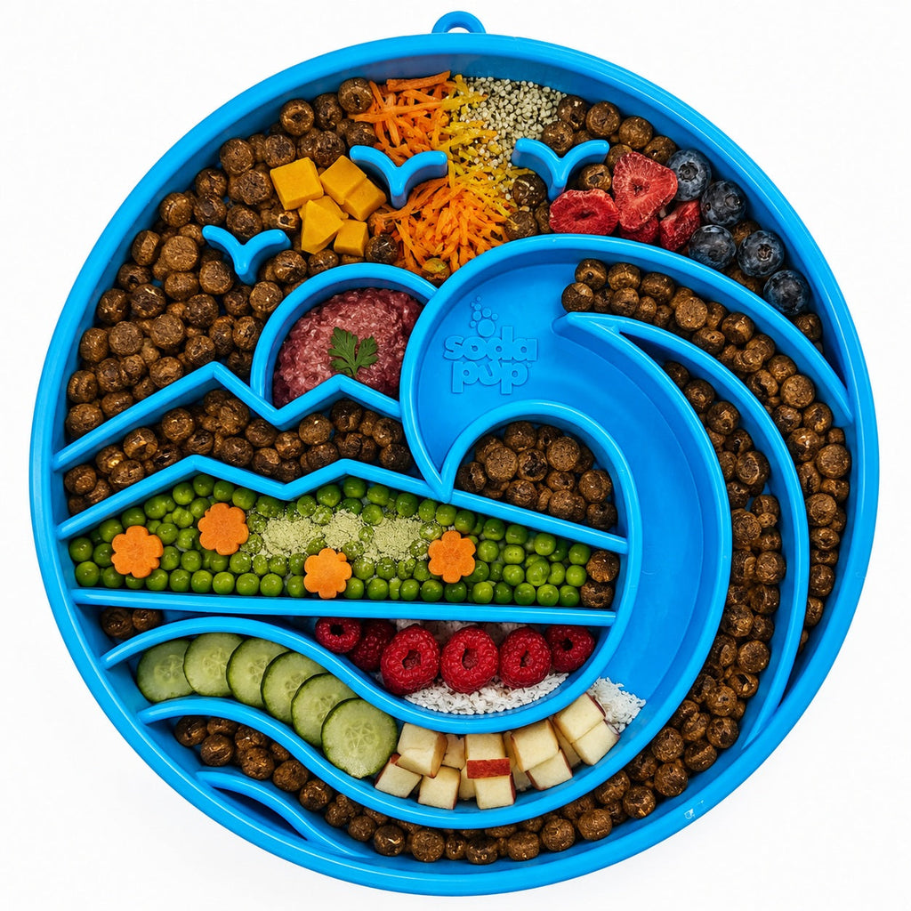 Baja Design eTray - Shallow Slow Feeder Dog Bowl for Enrichment | USA Made