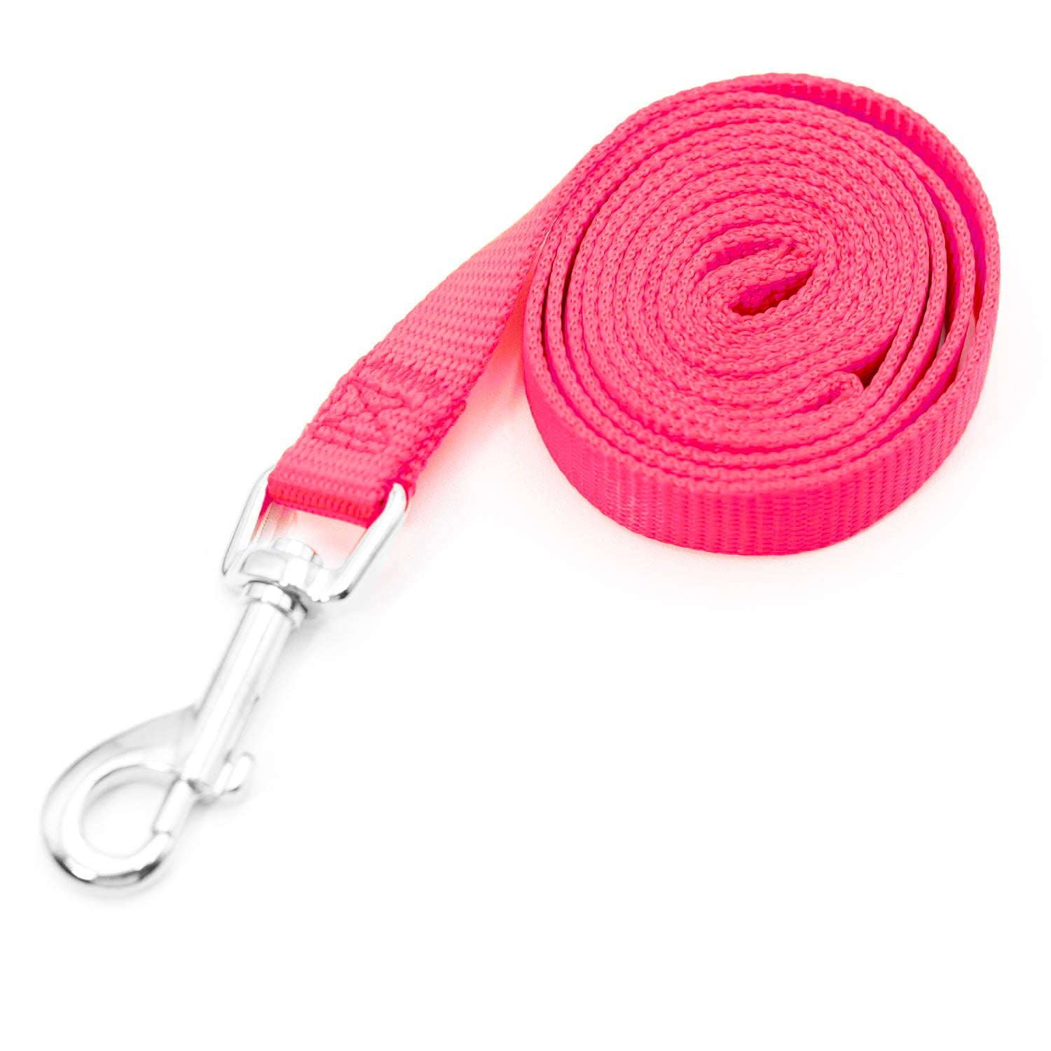 Jeffers 1-Ply Web Nylon Dog Leashes