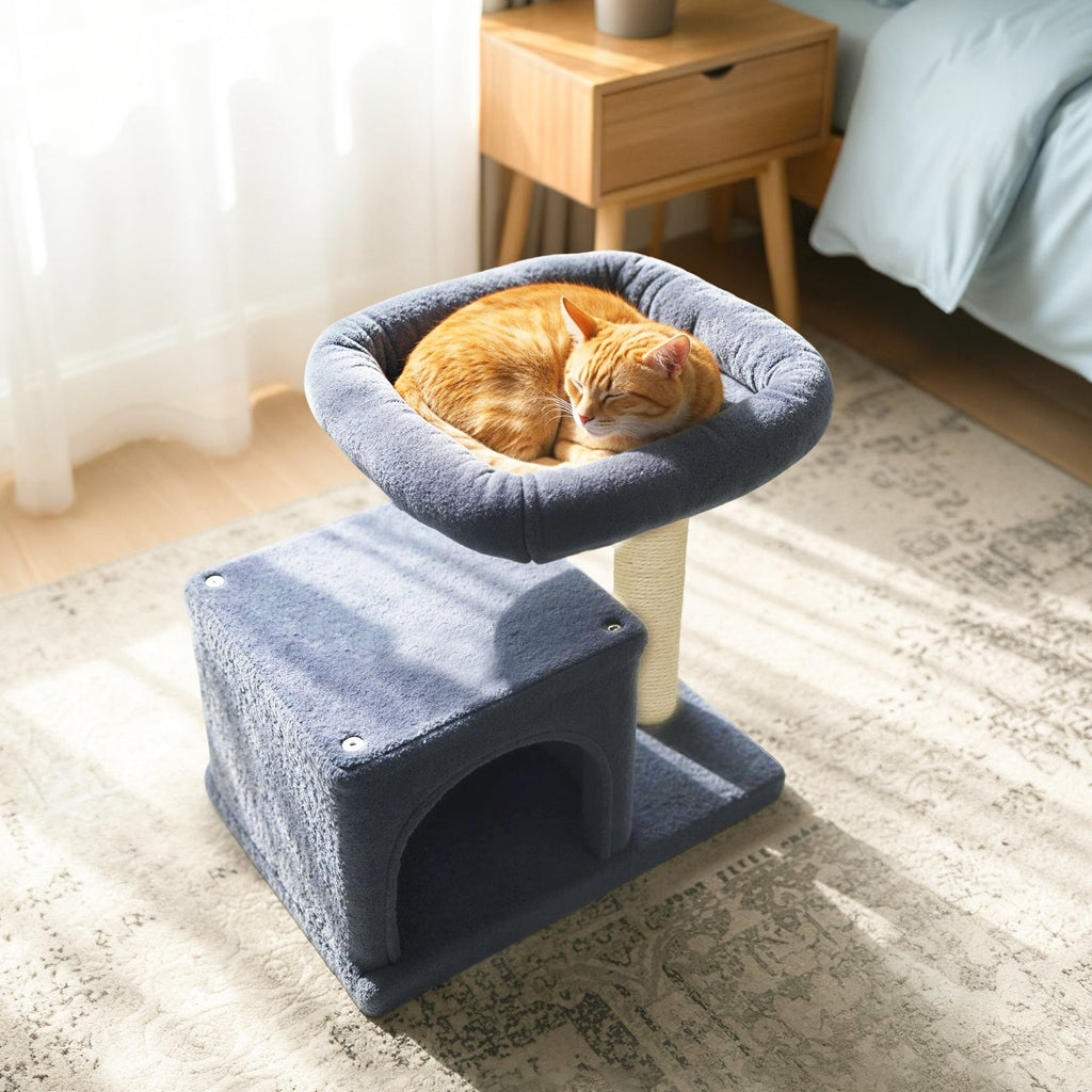 Small Cat Tree with Large Padded Plush Perch for Indoor Cats