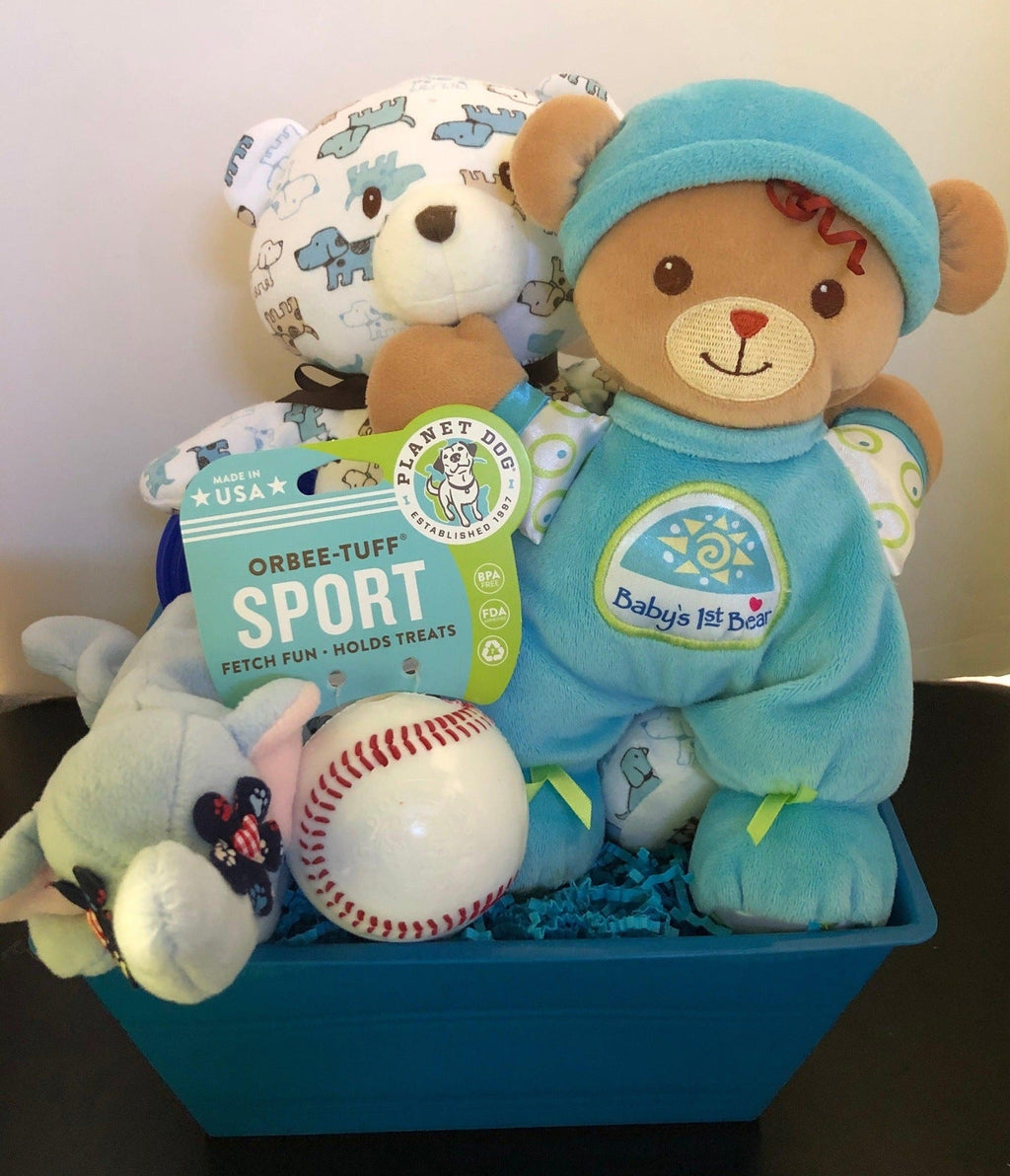 Boy-oh-Boy SQUEAKY Gift Basket for Dogs & Puppies: 3 Sizes