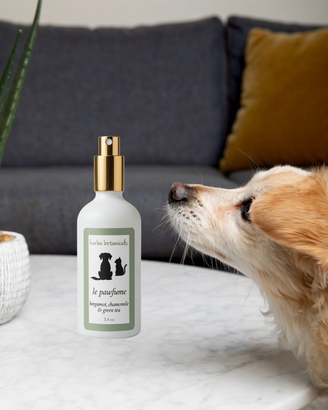 natural pet spray