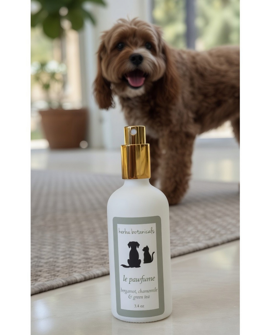 natural pet spray