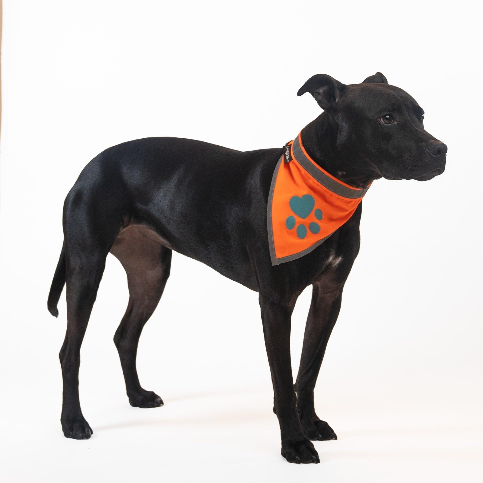 Reflective Dog Bandana Hi-Vis S Size 10 in Neck Orange