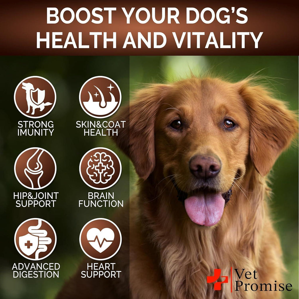 Mushroom Chews for Dogs 170 Count Turkey Tail Lion's Mane & Reishi