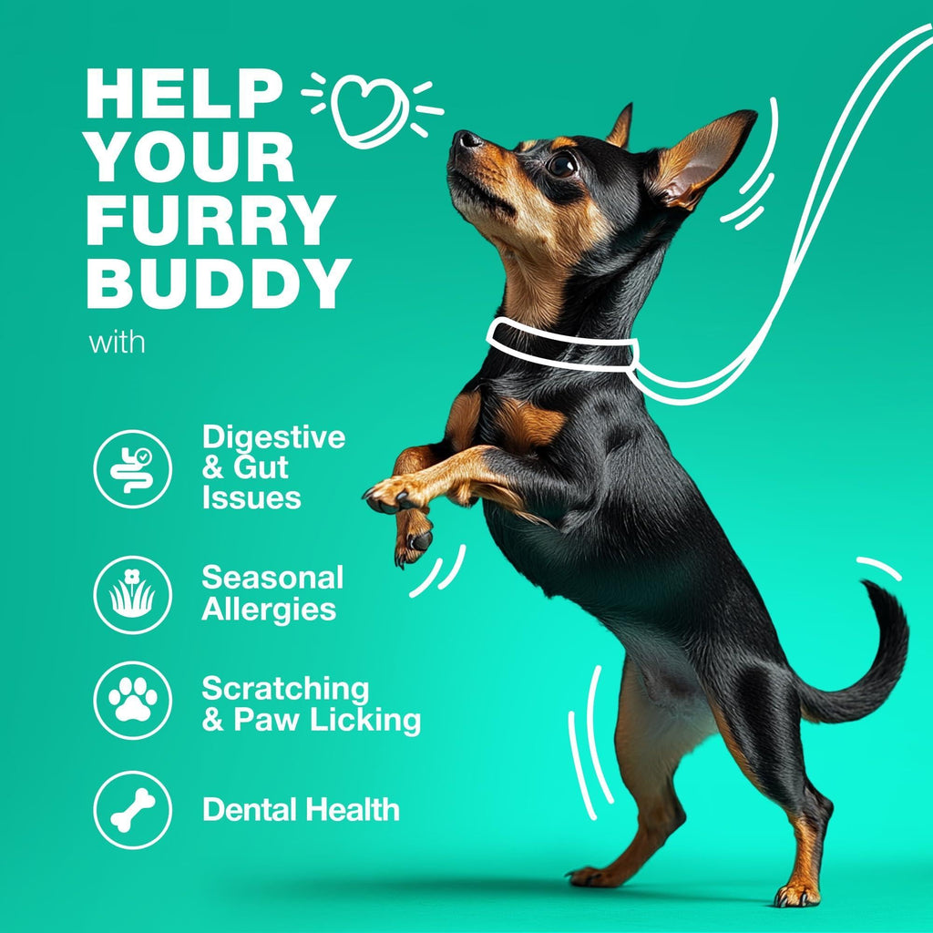 Probiotics for Dogs Digestive Enzymes Gut Health Pumpkin & Yeast Powder