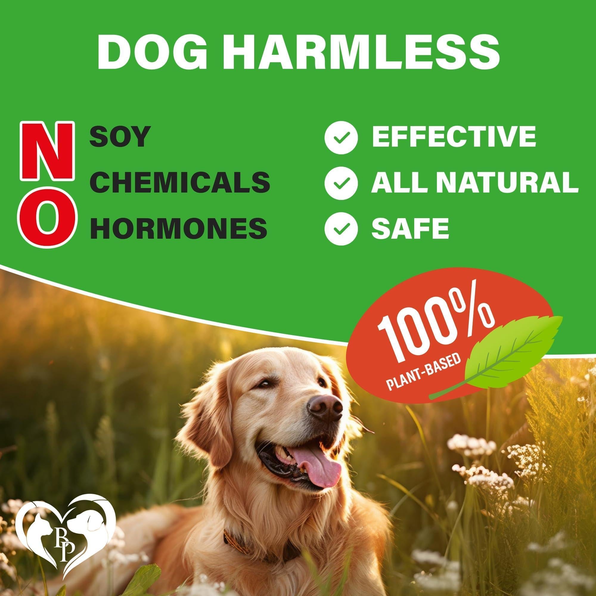Dog Hip & Joint Chews Arthritis Pain Relief Glucosamine Chondroitin MSM & Turmeric