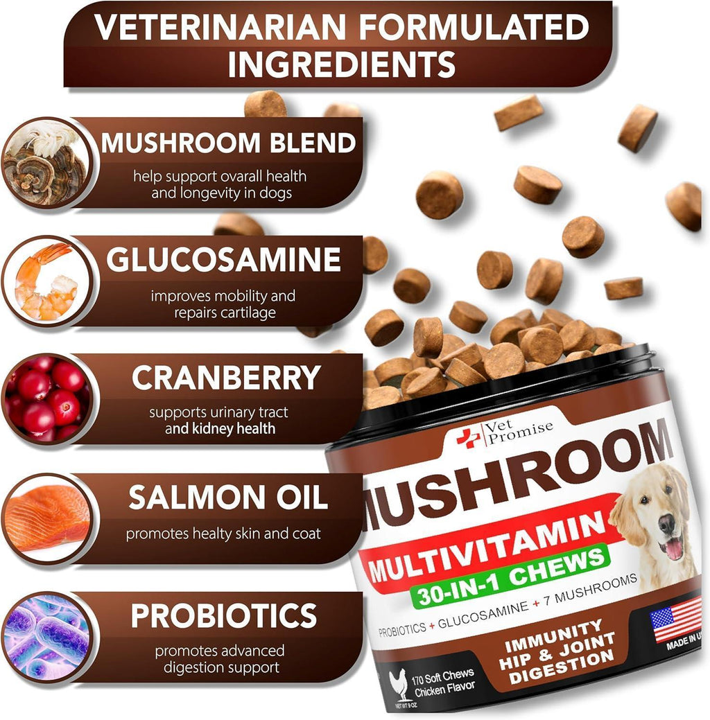 Mushroom Chews for Dogs 170 Count Turkey Tail Lion's Mane & Reishi