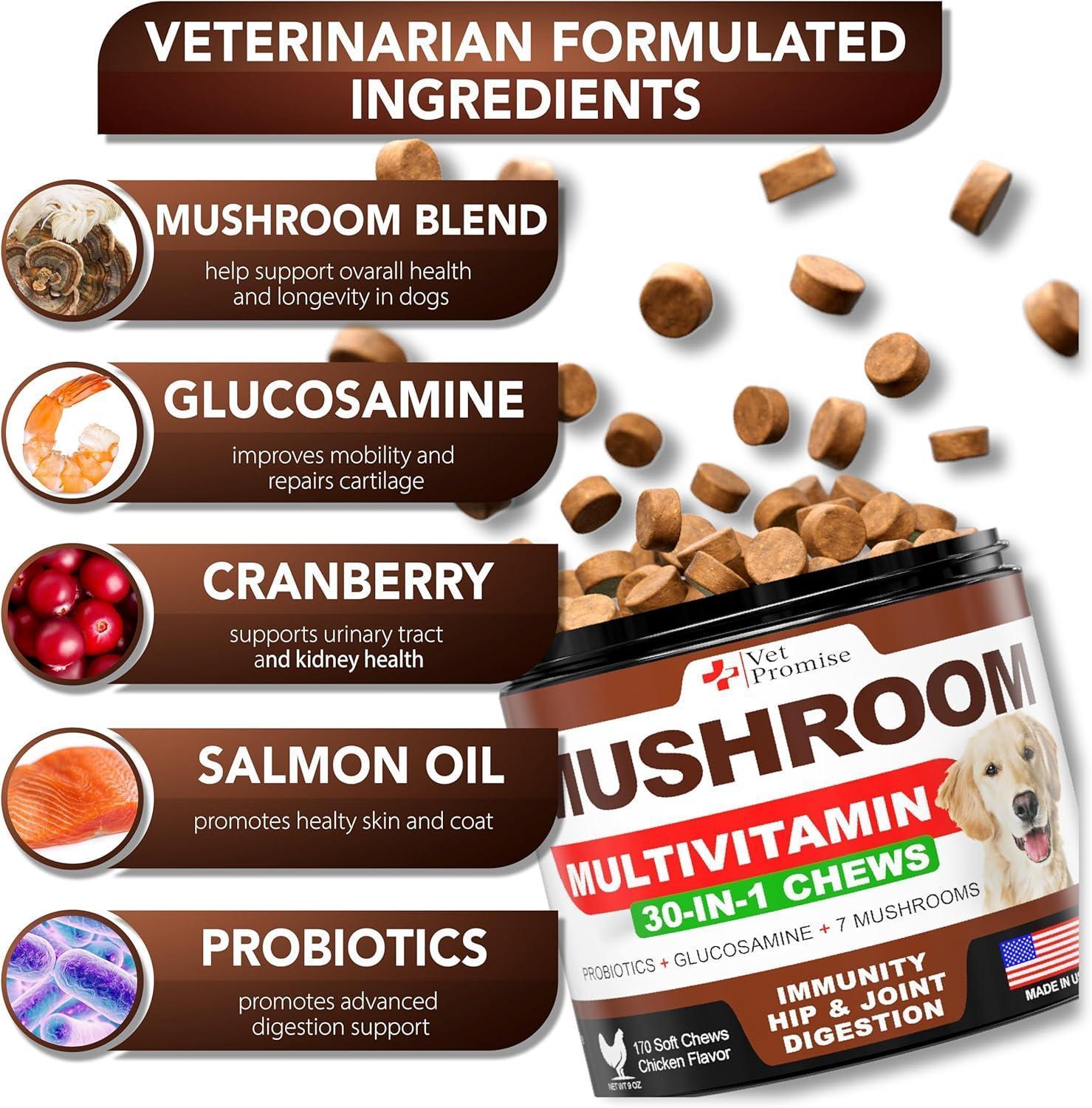Mushroom Chews for Dogs 170 Count Turkey Tail Lion's Mane & Reishi