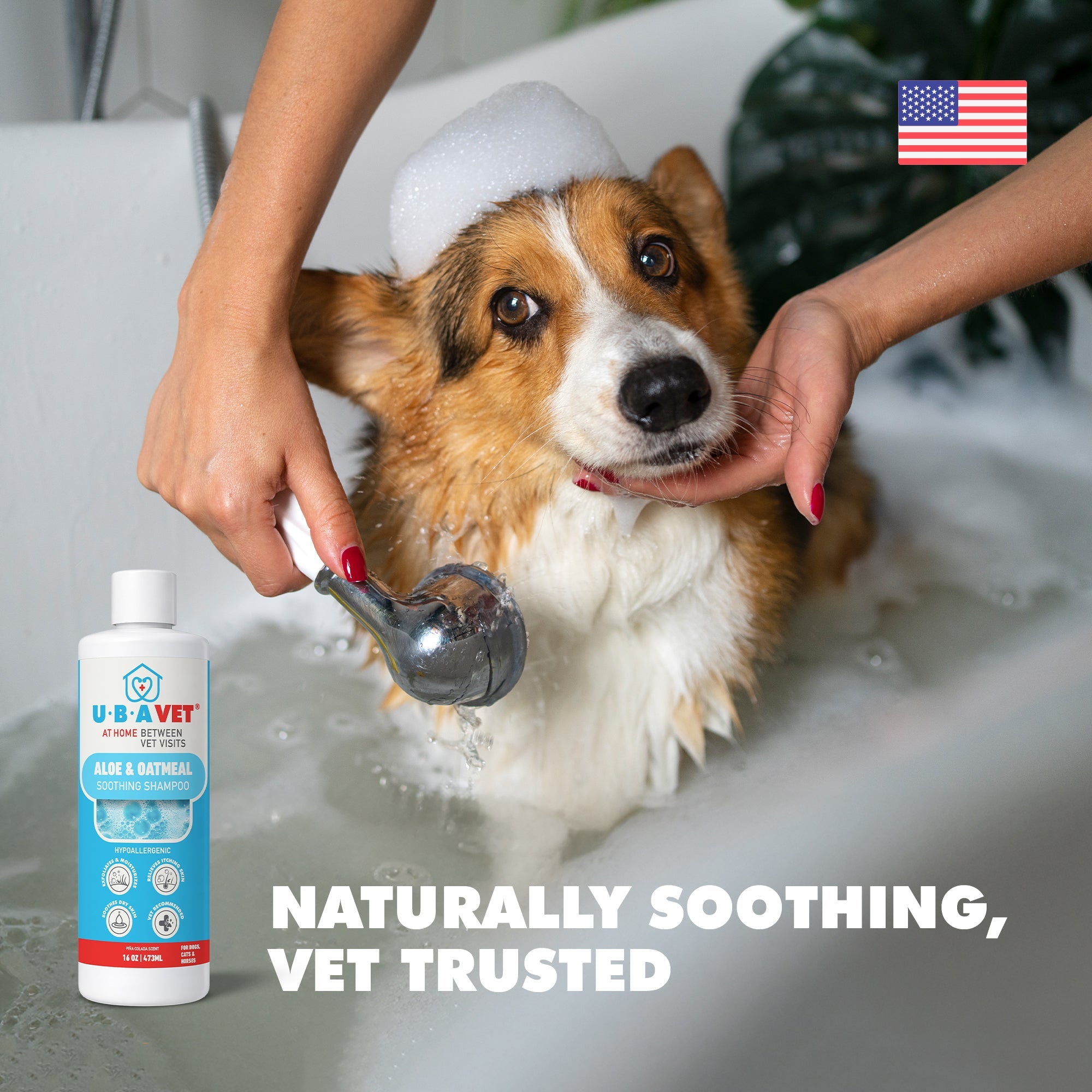 UBAVET Aloe & Oatmeal Conditioner for Dogs & Cats – Soothing Moisturizing Formula for Sensitive Skin (16.9 fl oz / 500ml)