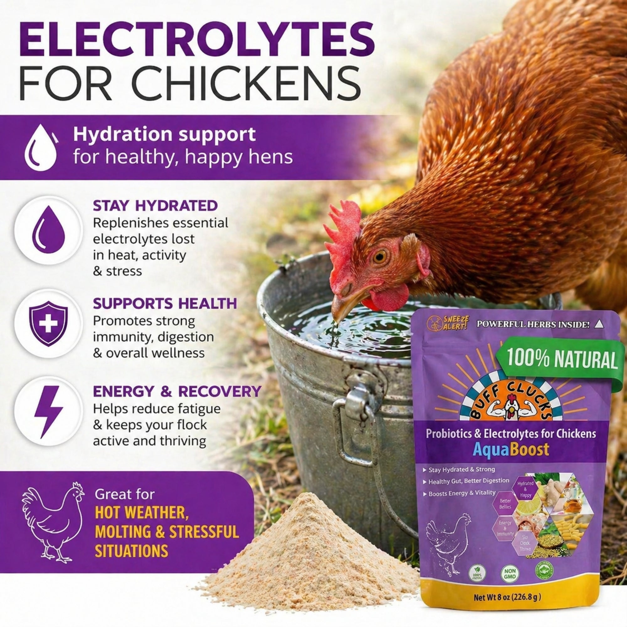 AquaBoost – Electrolytes and Probiotics for Backyard Chickens