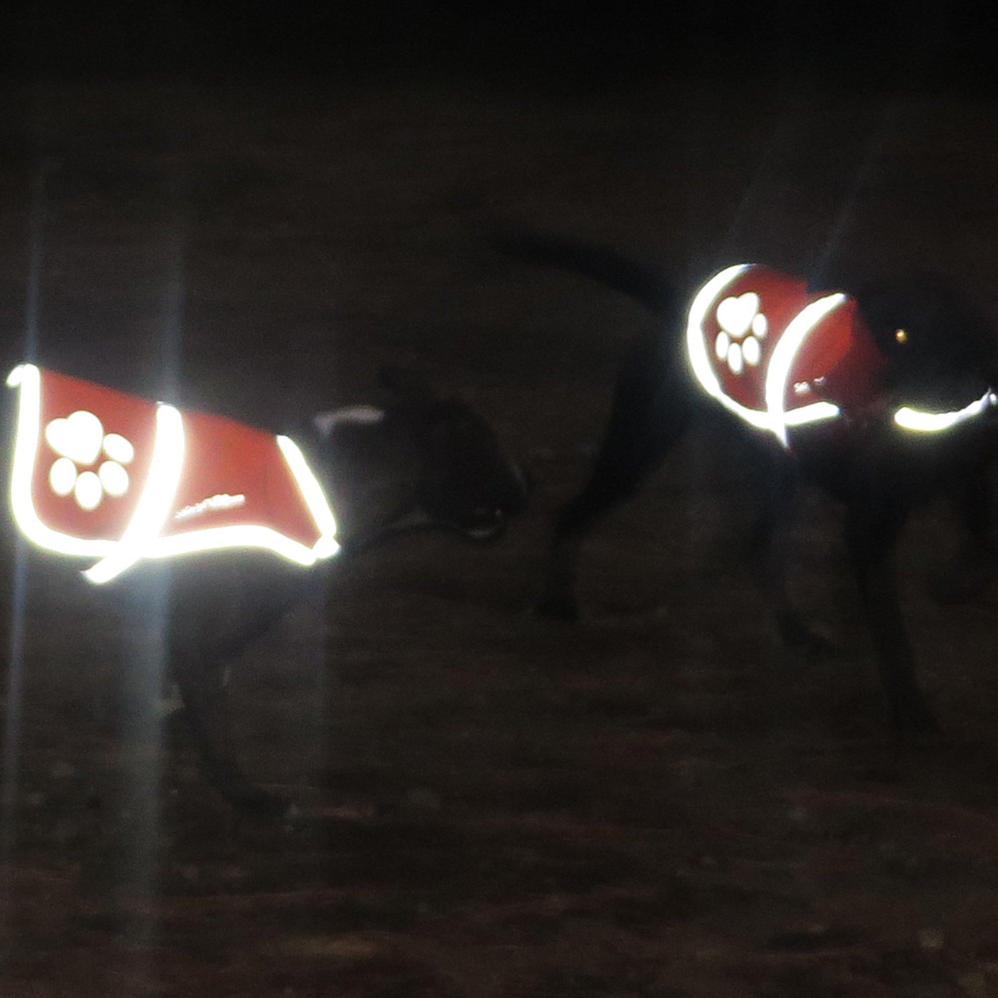 Reflective Dog Vest Hi-Vis M Size 27.63 in Chest x 19 in Neck Blue