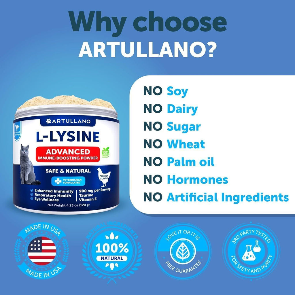 L-Lysine Powder for Cats 900 mg per Serving Immune Support