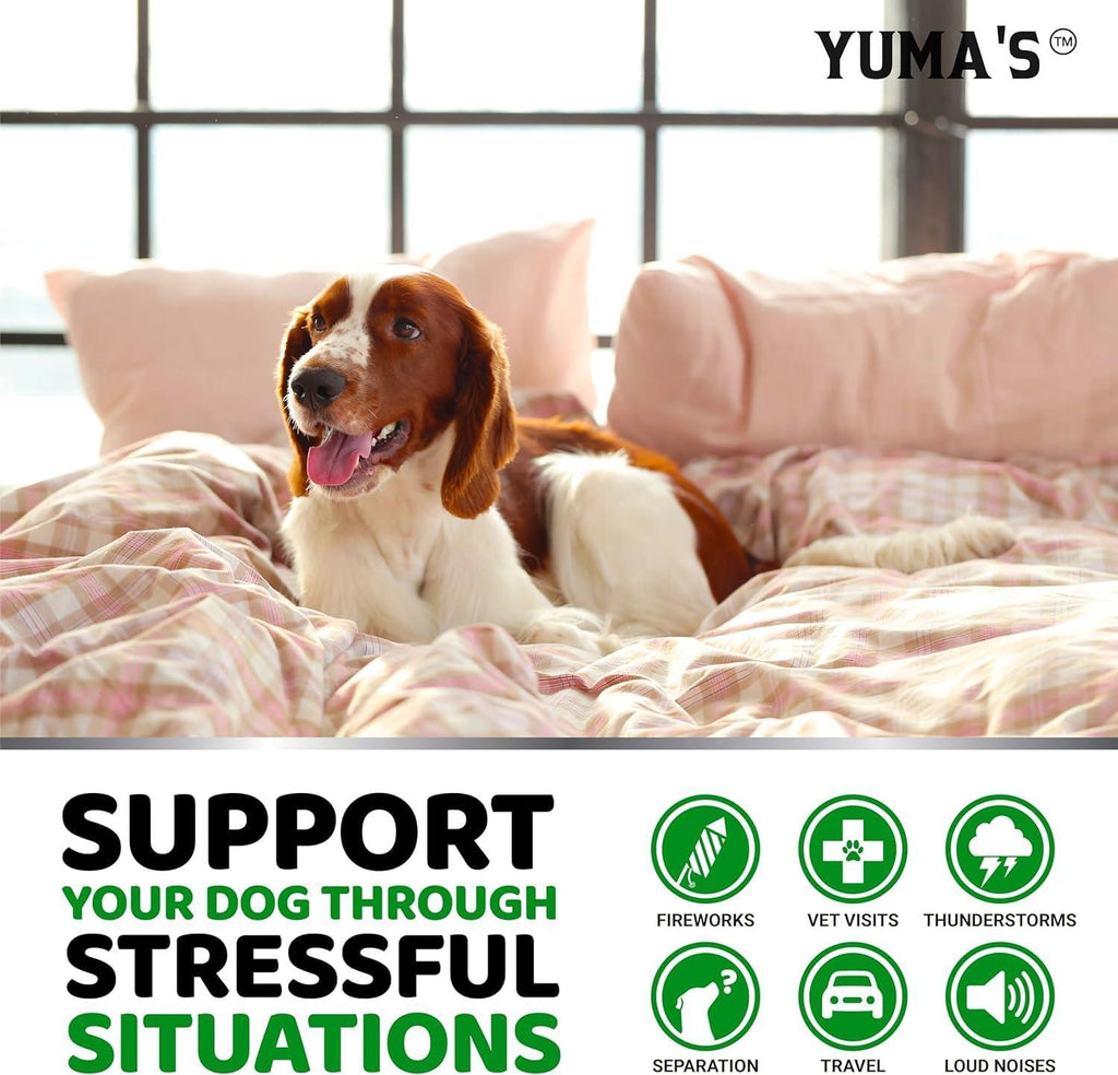 Hemp Calming Chews for Dogs 2-Pack