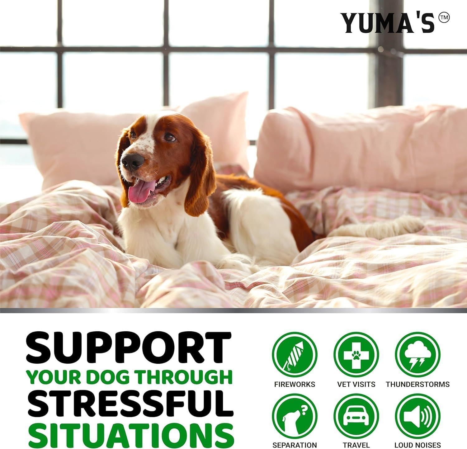 Hemp Calming Chews for Dogs 2-Pack