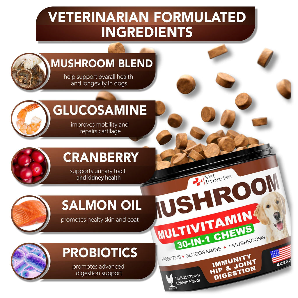 Mushroom Chews for Dogs 340 Count 2-Pack Turkey Tail Lion's Mane & Reishi