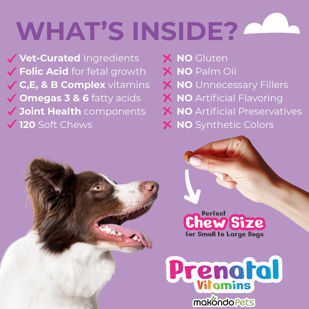 Dog Prenatal Vitamins 120 Soft Chews Folic Acid Zinc B-Complex DHA & EPA
