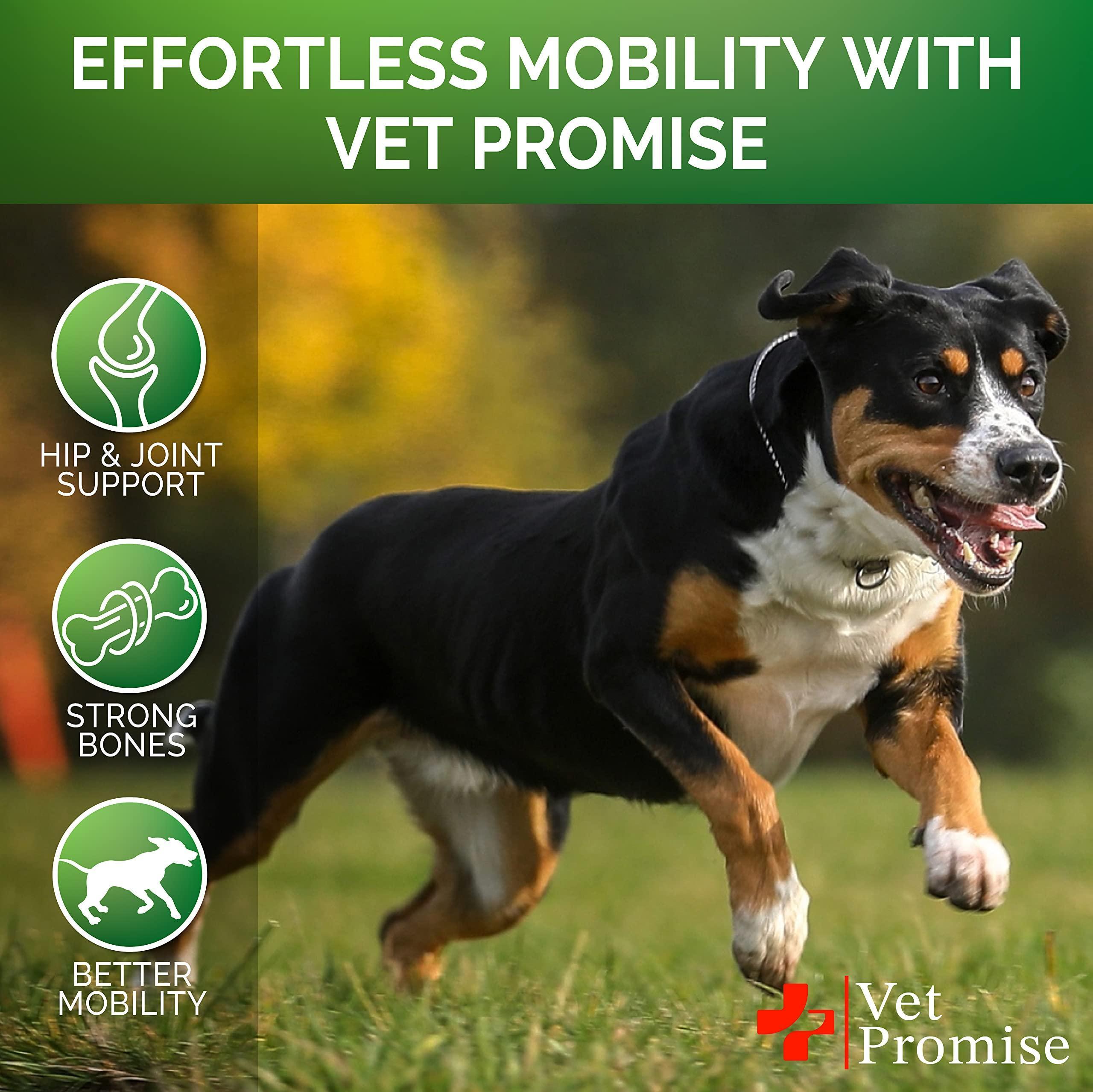 Glucosamine for Dogs Hip & Joint Supplement 120 Mobility Chews
