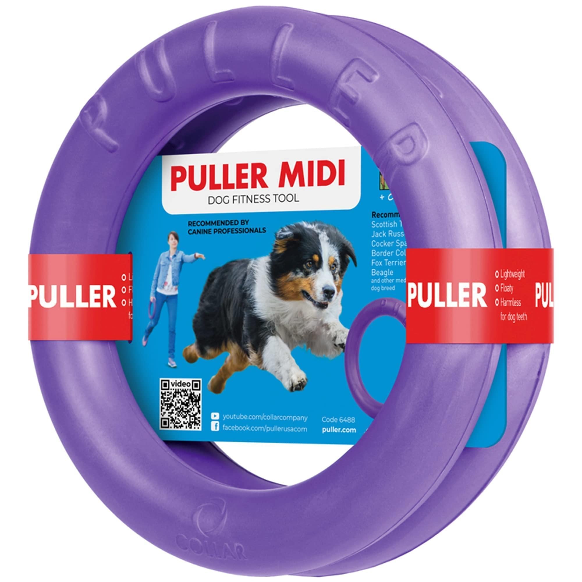 Dog Ring Fetch Toy Medium Dogs MIDI Size 2 Rings