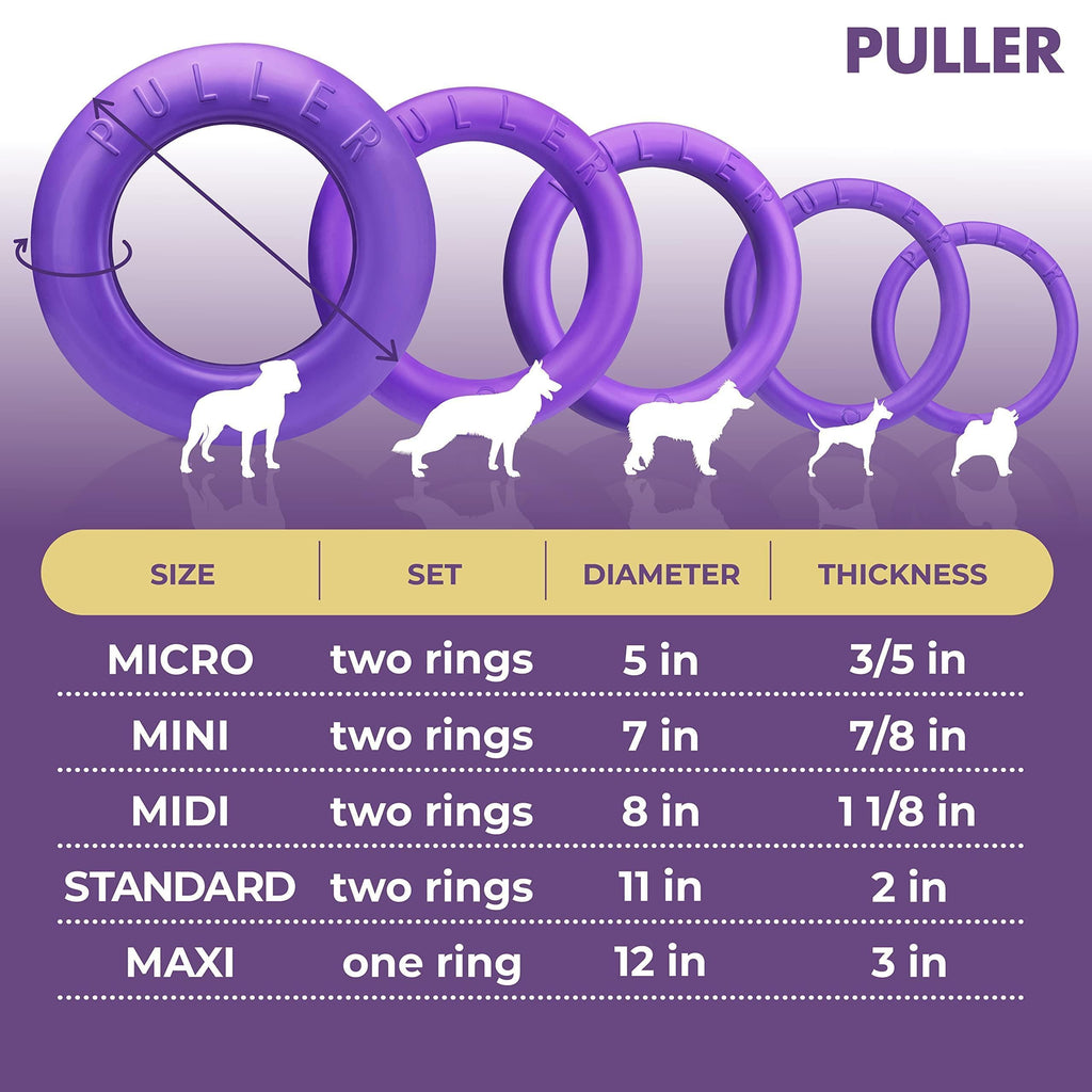 Dog Ring Fetch Toy Medium Dogs MIDI Size 2 Rings