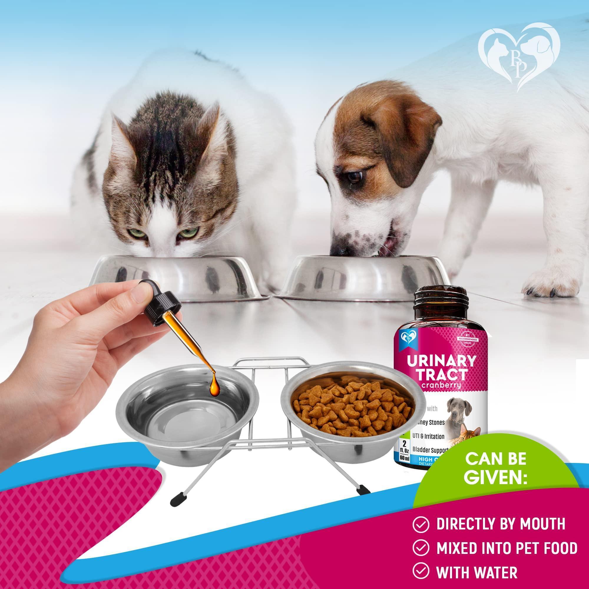 Cat & Dog UTI Treatment Drops Cranberry Urinary Support