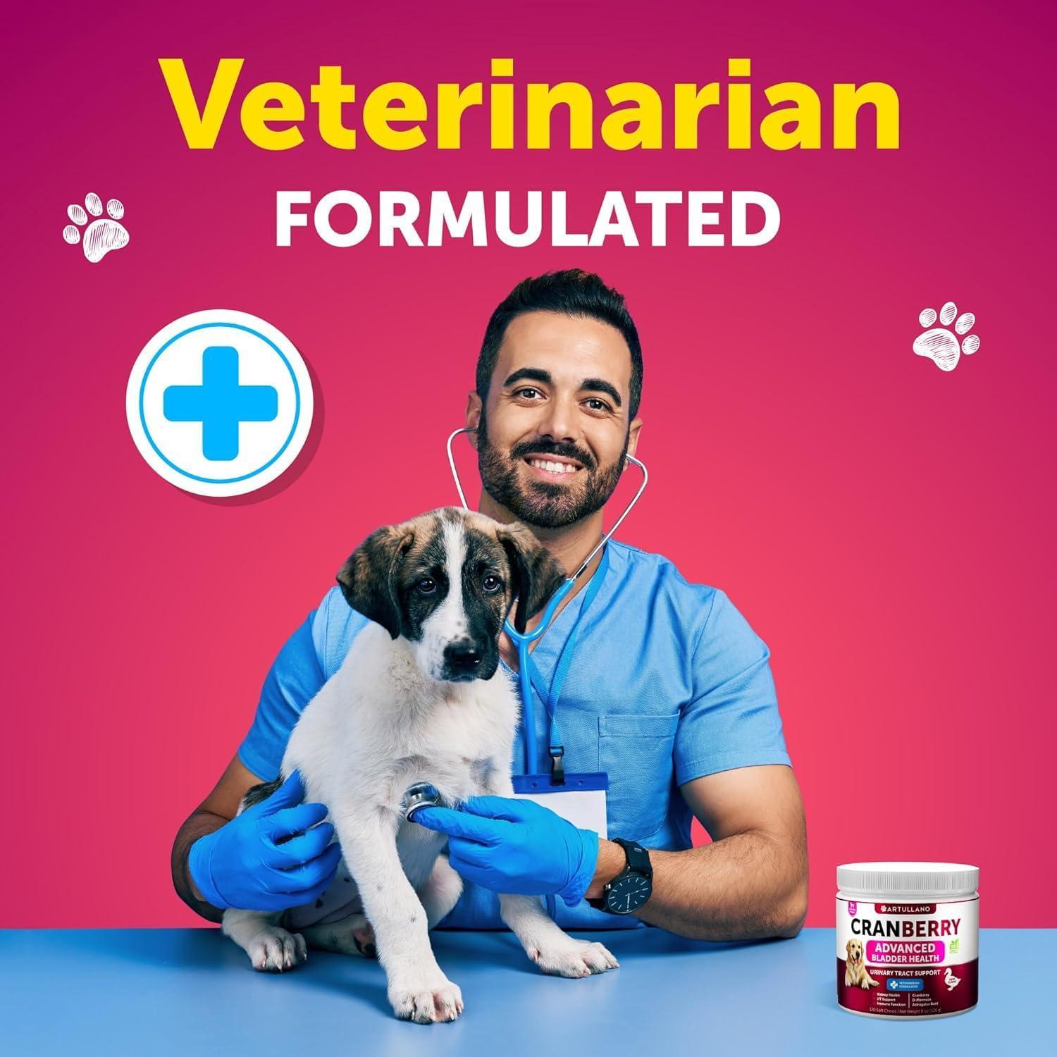 Dog UTI Treatment Cranberry Supplement Bladder Control