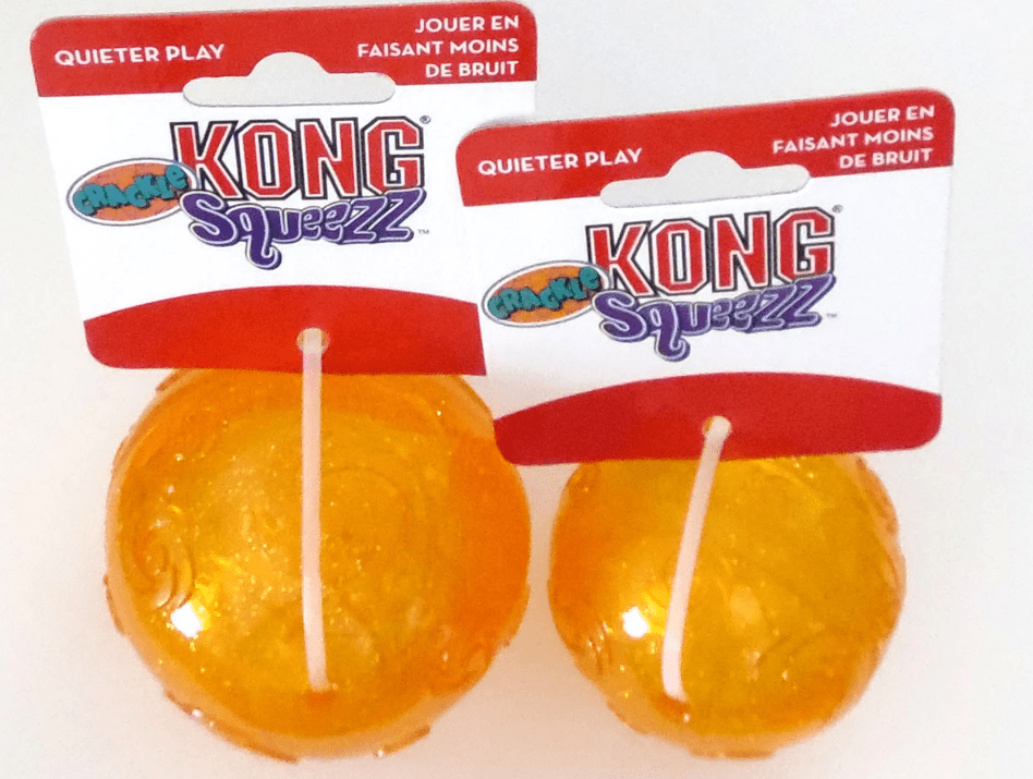Cartoon & Pop Culture SQUEAKY Dog & Puppy Gift Basket: 3 Sizes