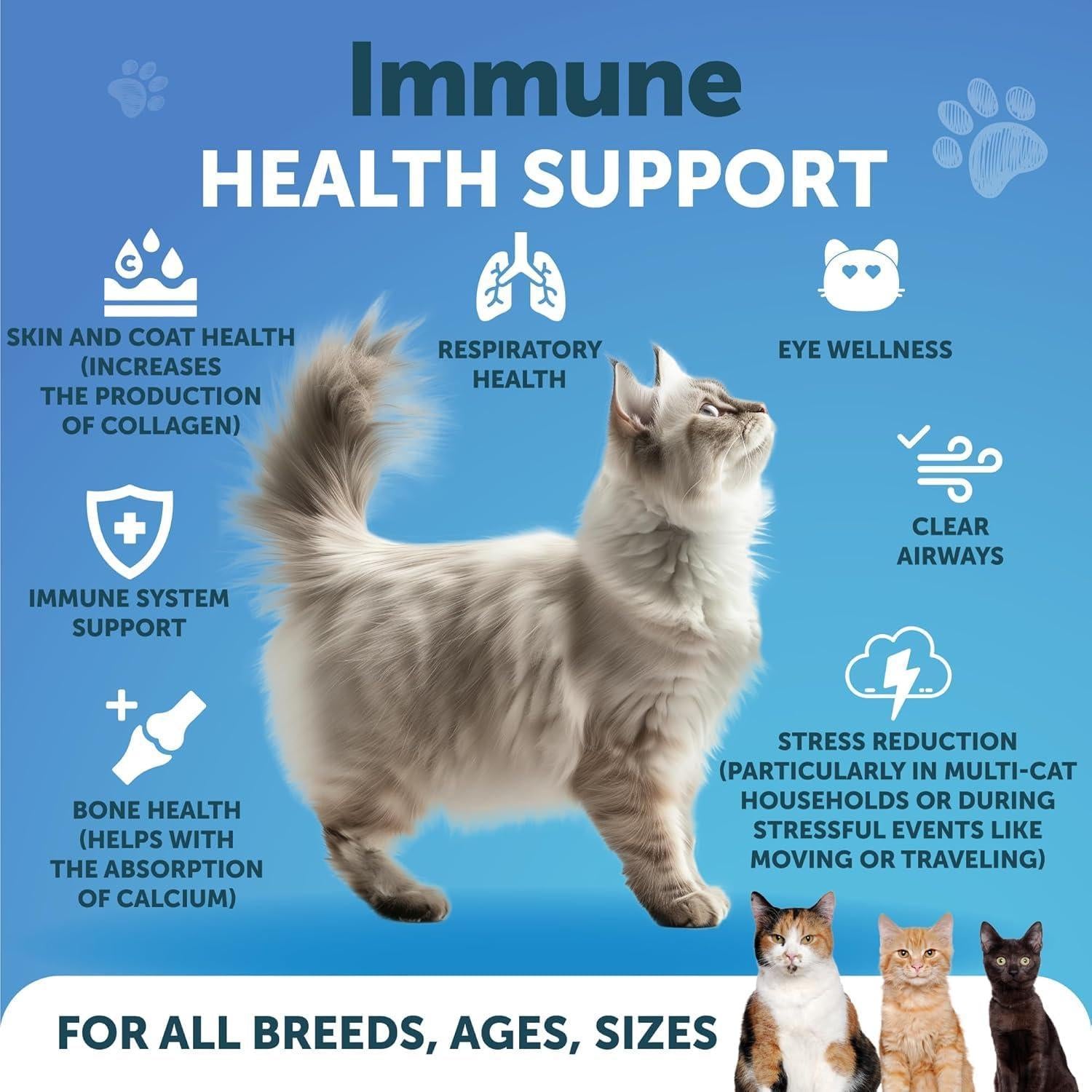 L-Lysine Powder for Cats 900 mg per Serving Immune Support