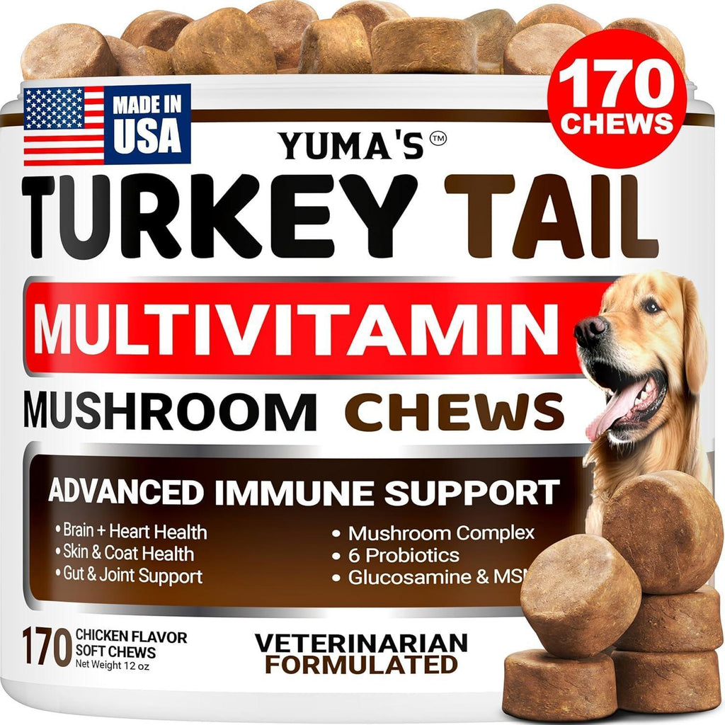 Turkey Tail Mushroom for Dogs Multivitamin Supplement Immune Support