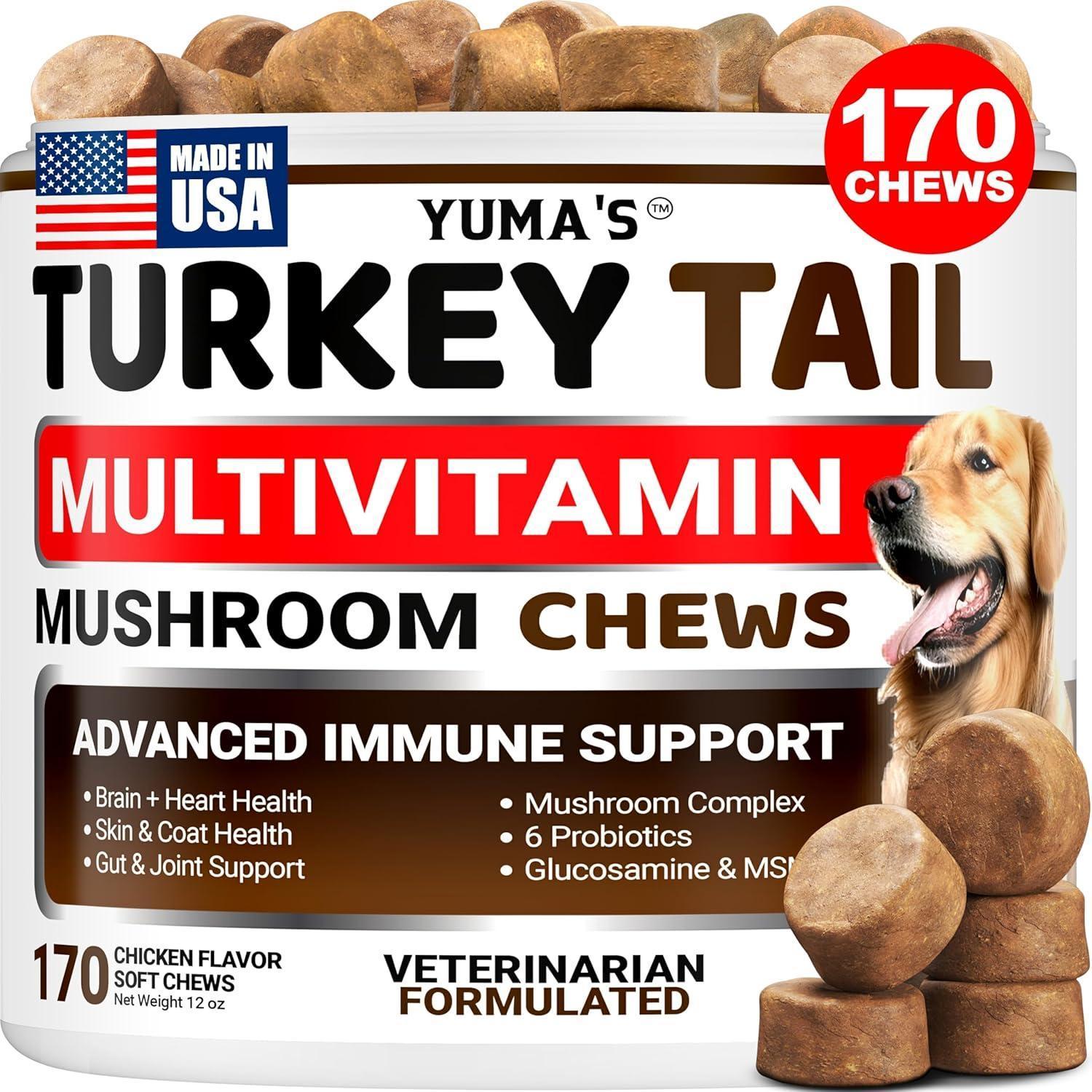 Turkey Tail Mushroom for Dogs Multivitamin Supplement Immune Support