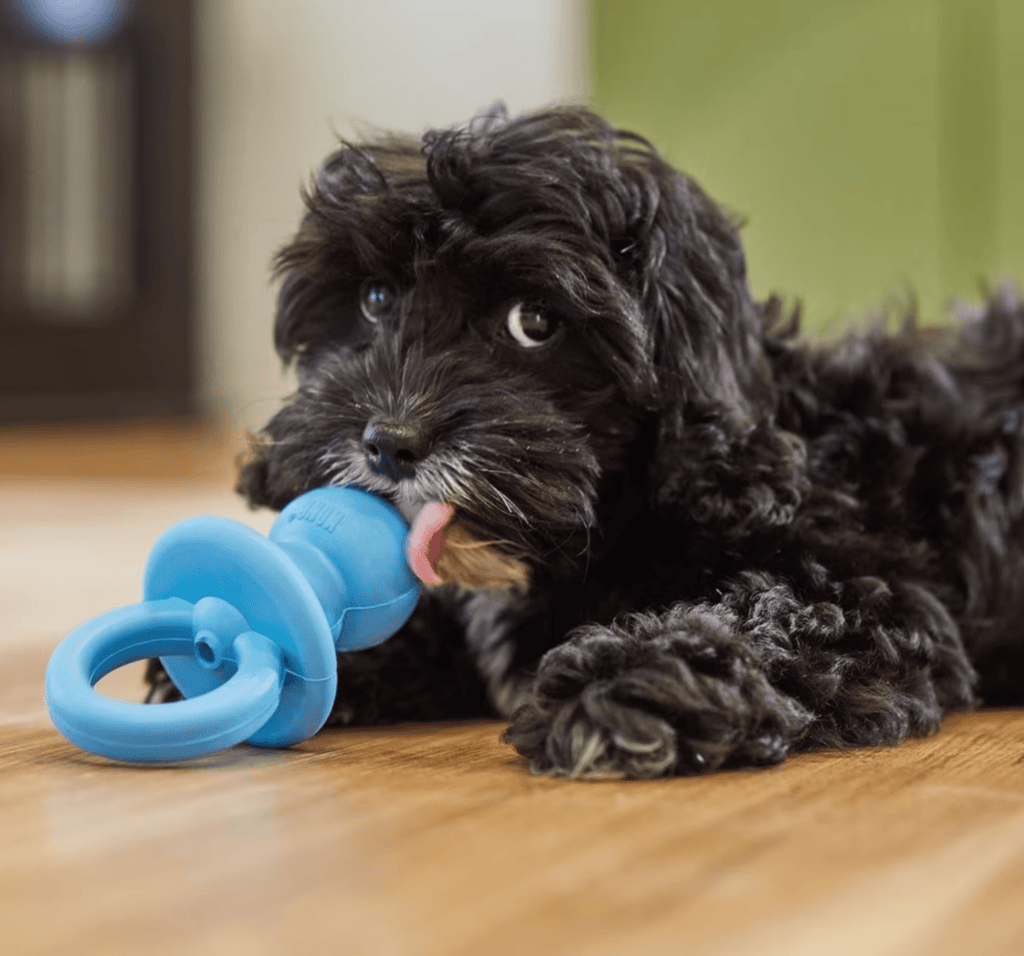 Chasin' The Blues SQUEAKY & Chewy Dog & Puppy Gift Basket / BARK, Kong, GoDog