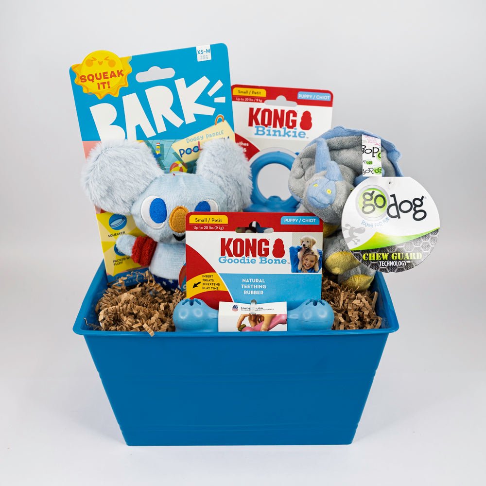 Chasin' The Blues SQUEAKY & Chewy Dog & Puppy Gift Basket / BARK, Kong, GoDog